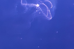 20190917_165025